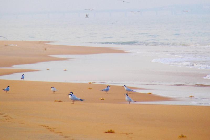 Khomba Beach House Alankuda ภายนอก รูปภาพ
