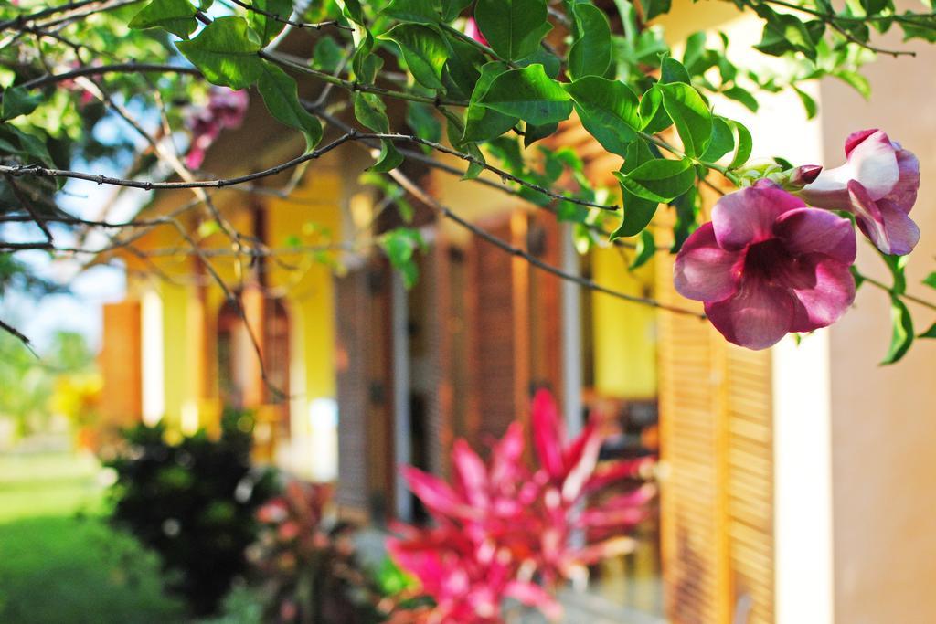 Khomba Beach House Alankuda ภายนอก รูปภาพ