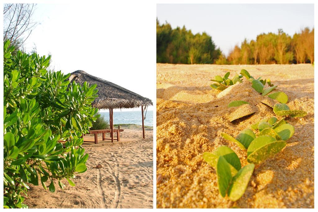 Khomba Beach House Alankuda ภายนอก รูปภาพ